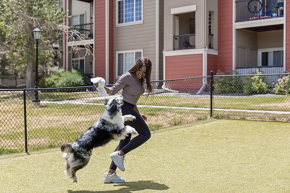 WhisperCreek_Lifestyle Dog Park 3