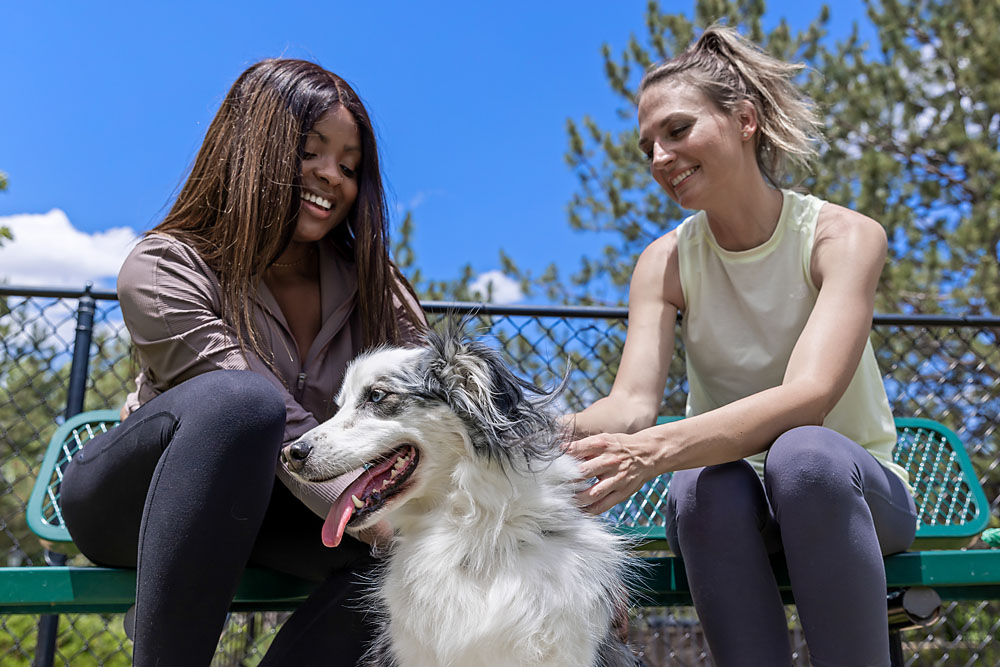 WhisperCreek_Lifestyle Dog Park 6